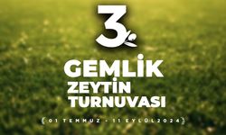 Gemlik’te 3. Zeytin Kupası başlıyor