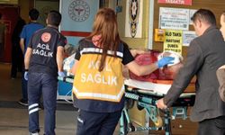 Bursa'da Kiraz Ağacından Düşen Adam Ağır Yaralandı!