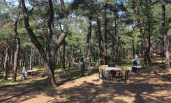 Bursa Valiliği duyurdu: Ormanda piknik yasaklandı!