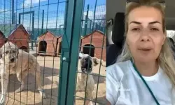 Köpekvelisi Hesabının Sahibi Buket Özgünlü Hakkında Korkunç İddialar!