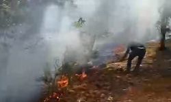 Bursa'da orman yangını çıktı, havadan ve karadan müdahaleler başladı