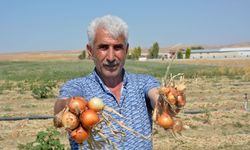 Polatlı'da soğanlar tarlada yandı