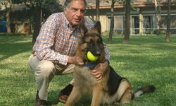 Dünyanın sayılı zenginlerinden Ratan Tata, mirasını köpeğine bıraktı