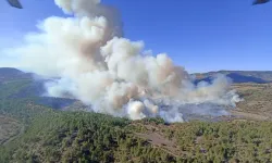 Bursa’nın 2 ilçesinde orman yangını!