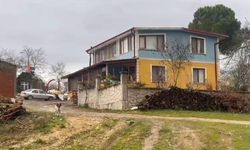 Sakarya Kaynarca'da annesini öldürdü