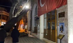 550 yıllık çınar, tarihi İshakpaşa Camii’nin üzerine devrildi