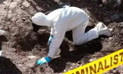 Meksika’da terk edilmiş bir evde 17 ceset bulundu
