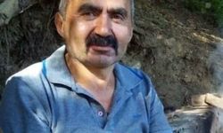 Kestiği ağacın altında kalan adam hayatını kaybetti
