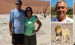 Aslan, Namibya'da safari kampındaki Alman iş insanını yedi