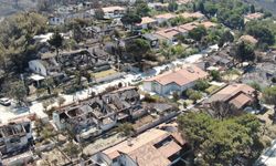 İzmir’deki yangında 85 yazlık ev küle döndü