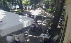 Çınardan kopan dal can aldı: O anlar kamerada