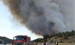 Eskişehir'de 10 orman işçisi şehit oldu