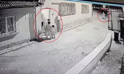 Bursa'da elinde bıçakla gezen palyaço panik yarattı