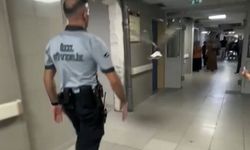 Bursa’da bir martı acile uçarak girdi
