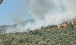 İznik'te orman yangını