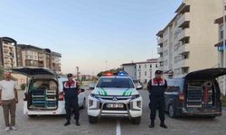 Doğubayazıt’ta kaçak kurbağa avcılığına jandarma operasyonu