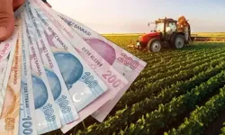 Tapu sahipleri için kritik tarih: Ekilmeyen tarım arazisi kiraya verilecek!