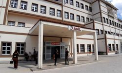 Bolu’da ayı saldırısında 1 kişi yaralandı