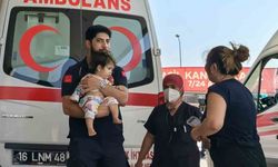 Maraş otu yutan 1 yaşındaki bebek hastanelik oldu
