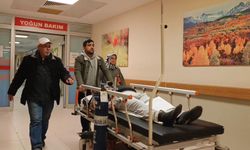İnegöl'de mantar yedi hastanelik oldu