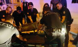 Eski eşi, yeni eşini pompalı tüfekle vurdu