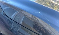 Tekirdağ’da gökyüzünden örümcek ağı yağdı