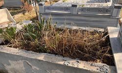 Tekirdağ'da mezarlıktan mermer çalıp evinin bahçesini döşedi