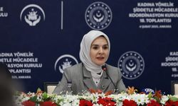 ‘Türkiye’de Kadına Yönelik Şiddet Araştırması’ tamamlandı