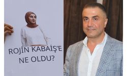 Sedat Peker'den Rojin Kabaiş'in ölümüyle ilgili bilgi verene 25 milyon lira ödül