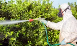 Zirai ilaçlar reçete ile alınacak