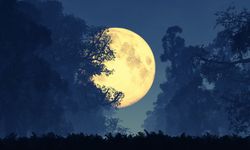 5 Kasım'da gökyüzüne dikkat!