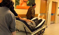 Bursa'da odun kesmek isterken, ayağını kesti