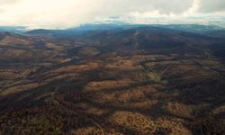 953 hektar kül oldu, Bursa’yı yeniden yeşertecek 300 bin fidan için ilk adım atıldı
