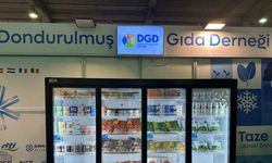 ABD’nin onda biri kadar dondurulmuş gıda tüketiyoruz