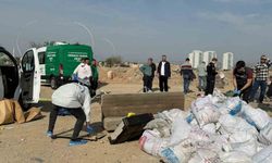 Mersin'de korkunç cinayet: Öldürüp tuzlayıp halıya sarıp çekyatla atmışlar