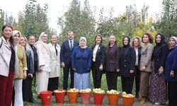 Topuklu iş kadınları ile şalvarlı köylü kadınları aynı tarlada