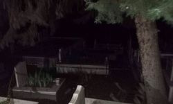 Yalova’da iş adamı mezarlıkta ölü bulundu