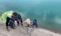 Bursalı kahraman anneden takdir edilecek hareket!