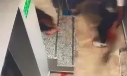 Eşini oğlunun arkadaşı ile otelde görünce cinnet geçirdi