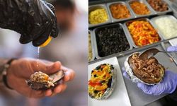 Zehirlenen ailenin, nerede ne yedikleri tespit edildi