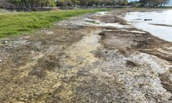 İznik Gölü kuruyor: Cargill'in su çektiği ileri sürülüyor