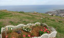 6 bin kişilik manzaralı mezar yerinin yüzde 95'i doldu