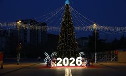 Nilüfer, yeni yıla hazır