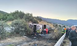 Kazada tırdaki 2 kişi öldü, taşınan anguslar otobana dağıldı