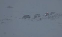 Artvin'in Ardanuç ilçesi Aksu Yaylası'nda çığ