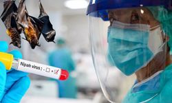 Nipah virüsü Türkiye'ye gelir mi?