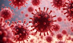 Bocavirüs alarmı! 2 yaş altı çocuklar risk altında