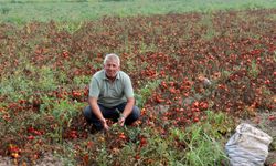 Çiftçilerden çağrı: 'Üretim maliyetleri baskılanamaz hale geldi'