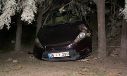 Kazadan sonra panik yaptı, alışveriş merkezinin bahçesine uçtu