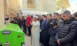 Şanlıurfa'da su kanalına düştü cesedi Suriye'de bulundu